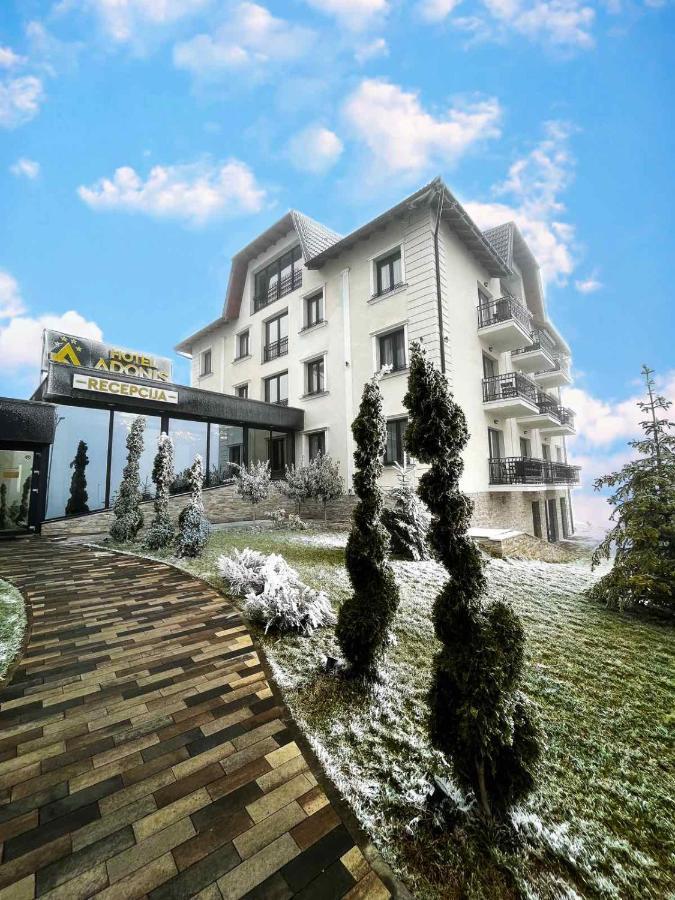 Afrodita 30 Zlatibor